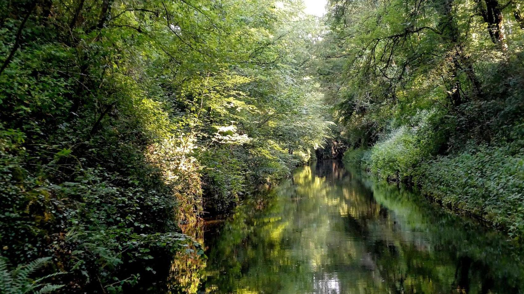 Le Manivert Vitry-Lache Exteriér fotografie