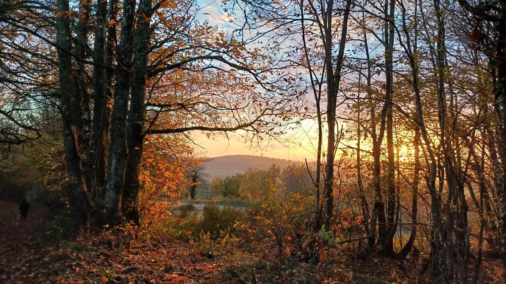 Le Manivert Vitry-Lache Exteriér fotografie
