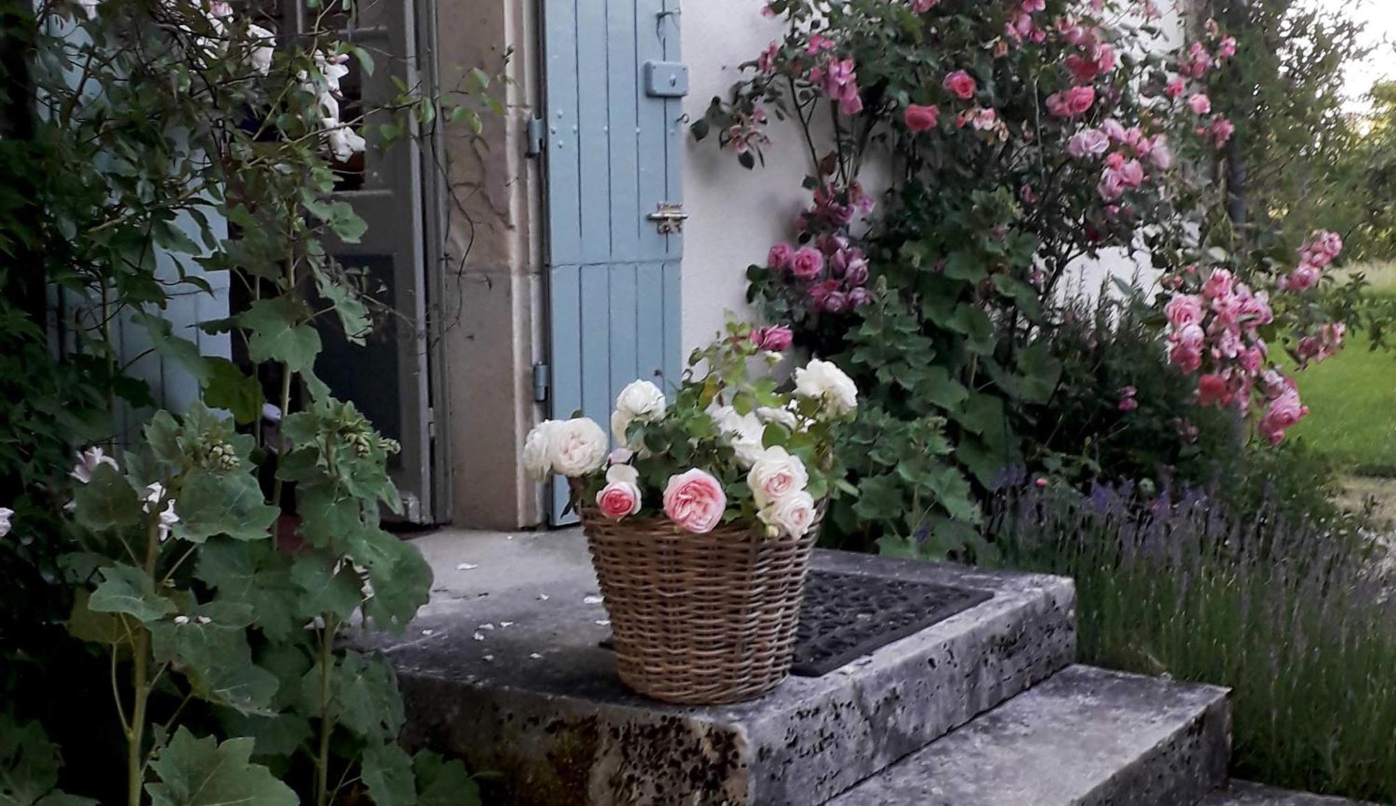 Le Manivert Vitry-Lache Exteriér fotografie